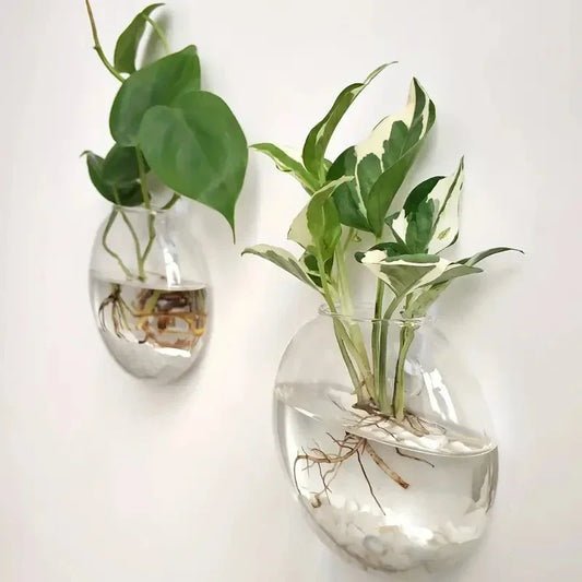 Terrários para Parede